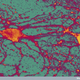 Illustration for article titled How Video Games Might Actually Helpi /iOur Brains